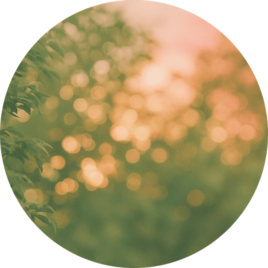 いろとぎのイメージ画像